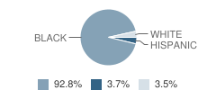 Baptist Hill High School Student Race Distribution