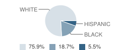 Mcbee High School Student Race Distribution