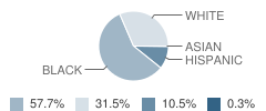 Bells Elementary School Student Race Distribution