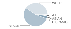 Black Street Elementary School Student Race Distribution