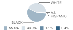 Brockington Elementary School Student Race Distribution
