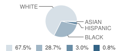 Carolina Elementary School Student Race Distribution