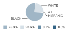 Brunson-Dargan Elementary School Student Race Distribution