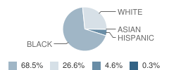 Washington Street Elementary School Student Race Distribution