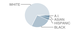 Knightsville Elementary School Student Race Distribution