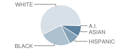 Fort Dorchester Elementary School Student Race Distribution