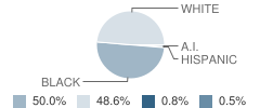 Pleasant Hill Elementary School Student Race Distribution