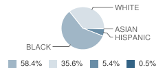 Mcdonald Road Elementary School Student Race Distribution