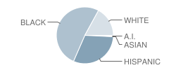 Grove Elementary School Student Race Distribution