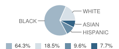 Southside High School Student Race Distribution