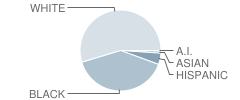 Woodmont Middle School Student Race Distribution