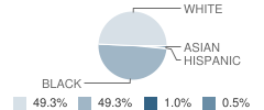 Hampton Elementary School Student Race Distribution