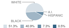 Daisy Elementary School Student Race Distribution