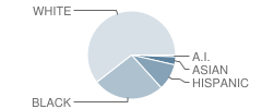 Myrtle Beach High School Student Race Distribution