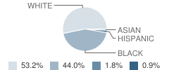 Bethune Elementary School Student Race Distribution