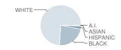 Lugoff Elementary School Student Race Distribution