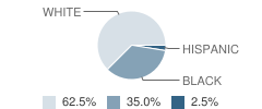 North Central High School Student Race Distribution