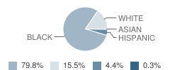 Clinton Elementary School Student Race Distribution