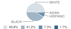 North Elementary School Student Race Distribution