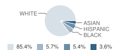 Lexington Intermediate School Student Race Distribution