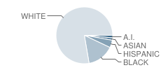 White Knoll Elementary School Student Race Distribution