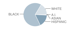 R Earle Davis Elementary School Student Race Distribution