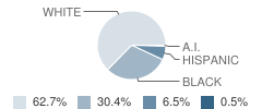 Swansea Elementary School Student Race Distribution