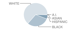 Mid-Carolina High School Student Race Distribution