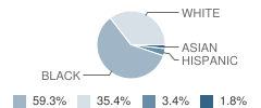 Hand Middle School Student Race Distribution