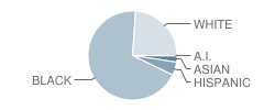 Ridge View High School Student Race Distribution