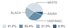 James Hendrix Elementary School Student Race Distribution