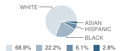 Beech Springs Intermediate School Student Race Distribution