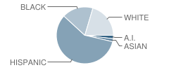 Arcadia Elementary School Student Race Distribution