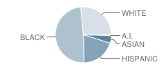 Jesse S Bobo Elementary School Student Race Distribution