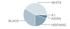 Fairforest Middle School Student Race Distribution