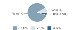 Lemira Elementary School Student Race Distribution