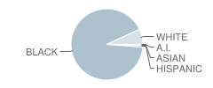 R E Davis Elementary School Student Race Distribution