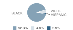 Rafting Creek Elementary School Student Race Distribution