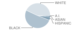 High Hills Elementary School Student Race Distribution