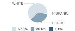 Jonesville High School Student Race Distribution