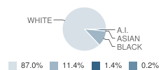 Hickory Grove-Sharon Elementary School Student Race Distribution