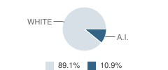 Burke Middle School Student Race Distribution