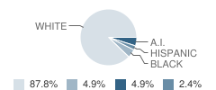 Emery Middle School Student Race Distribution