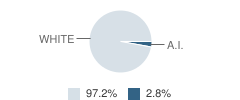 Garretson Middle School Student Race Distribution