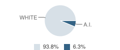 Hoven Elementary School Student Race Distribution