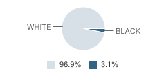 Iroquois Middle School Student Race Distribution