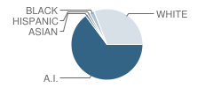 Andes Central High School Student Race Distribution