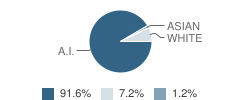 Mclaughlin Jr High School Student Race Distribution