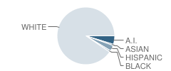 Mitchell Middle School Student Race Distribution