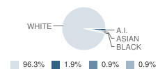 Parker High School Student Race Distribution